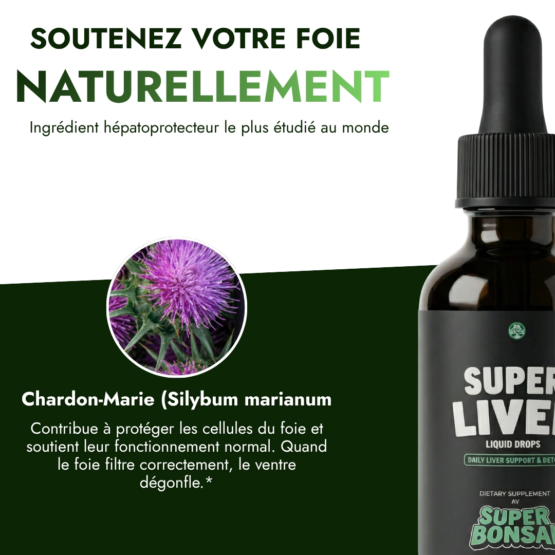 Super Liver — Ventre plat dès la semaine 2