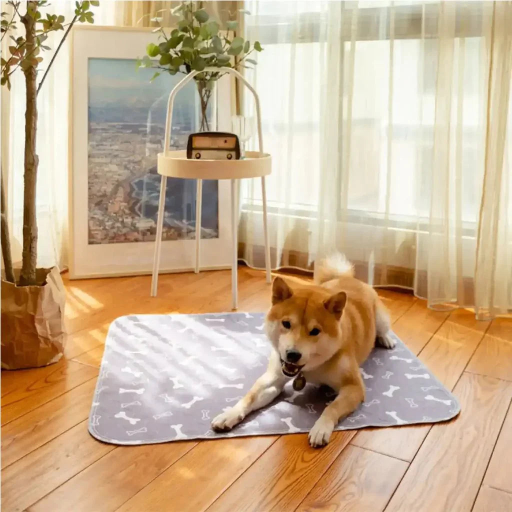 Tapis hygiénique, absorbant et lavable pour chiens et chiots