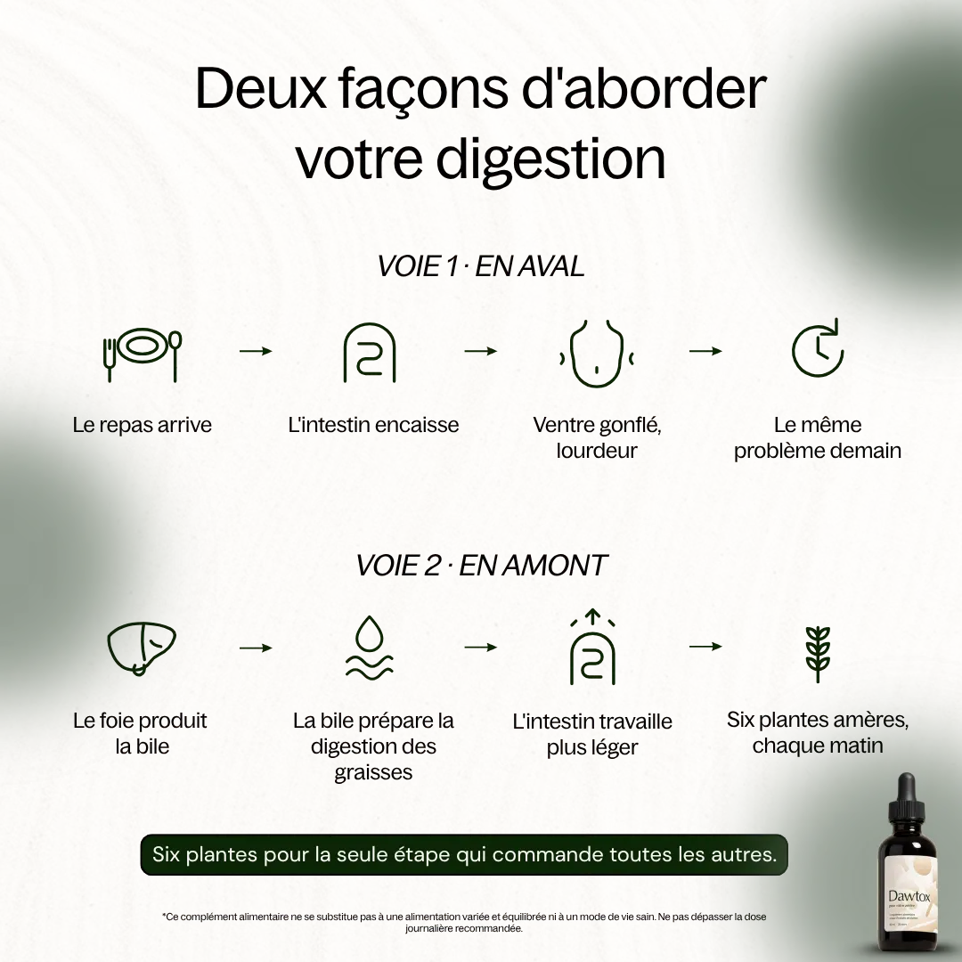 Dawtox — Retrouvez un ventre plat durablement