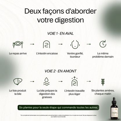 Dawtox — Retrouvez un ventre plat durablement