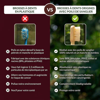 ORIGINI Brosse à dents en poils de sanglier et bambou