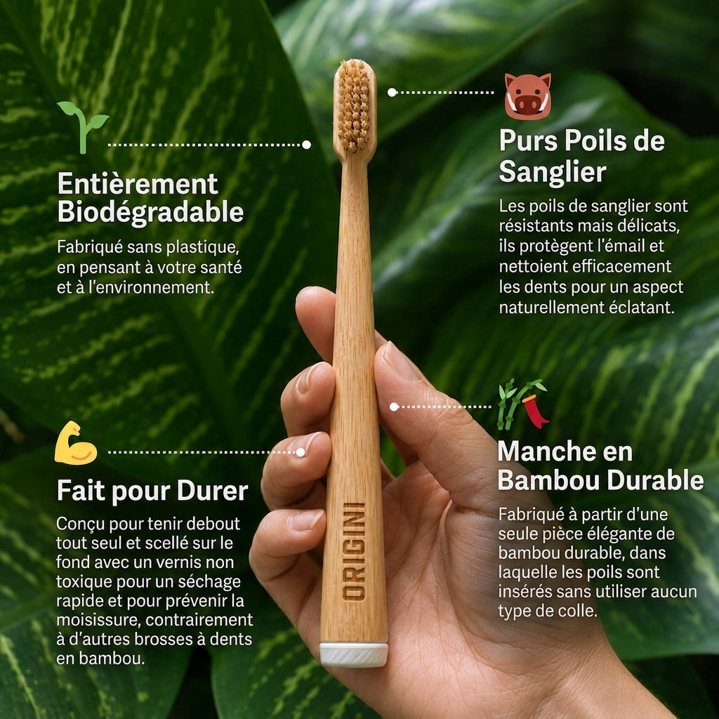 ORIGINI Brosse à dents en poils de sanglier et bambou