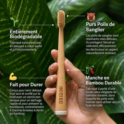 ORIGINI Brosse à dents en poils de sanglier et bambou