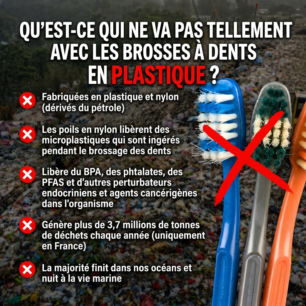 ORIGINI Brosse à dents en poils de sanglier et bambou