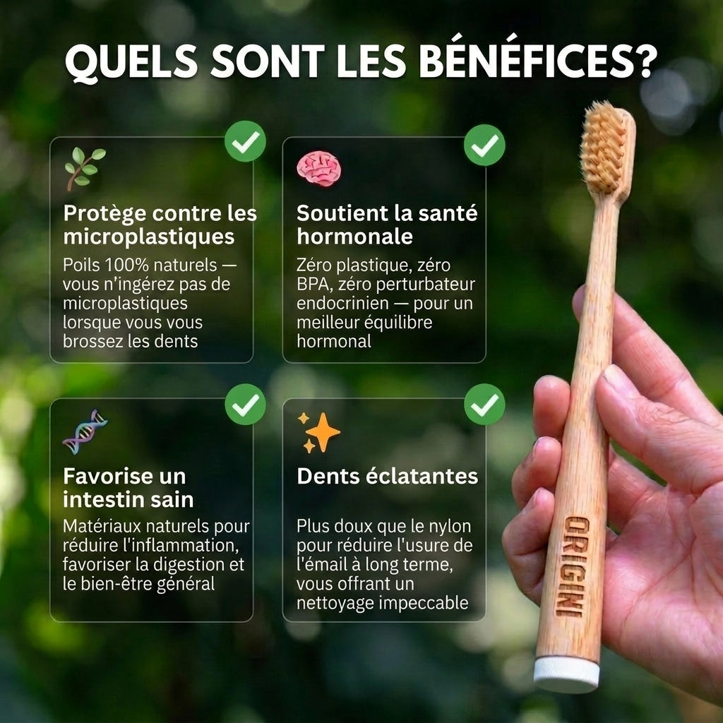 ORIGINI Brosse à dents en poils de sanglier et bambou