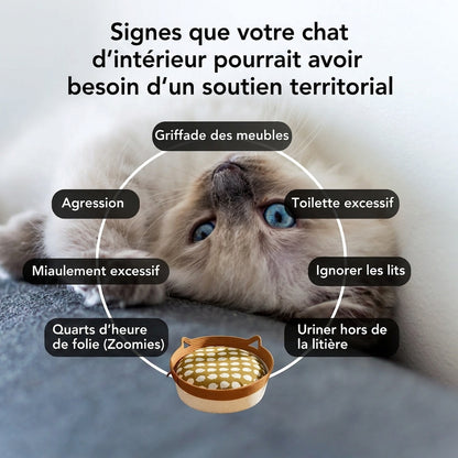 Panier pour chat