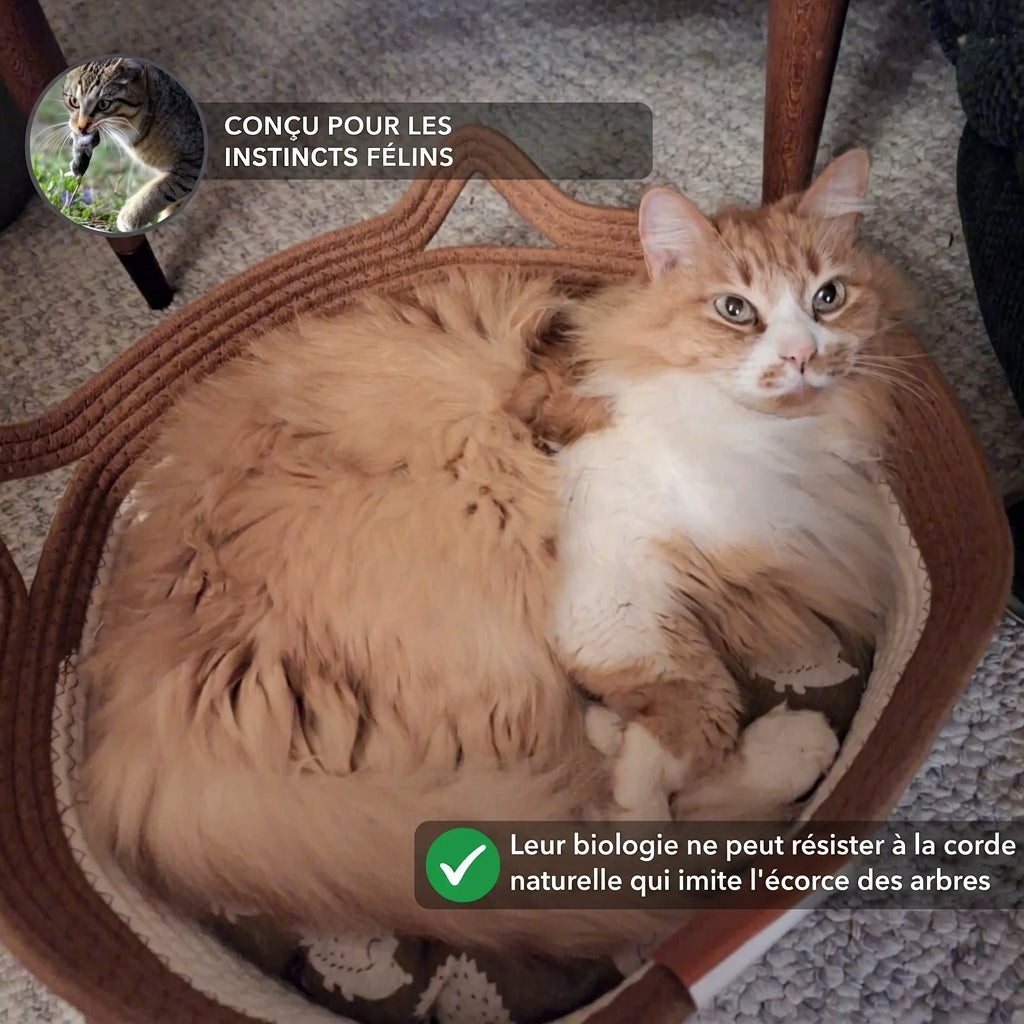 Panier pour chat