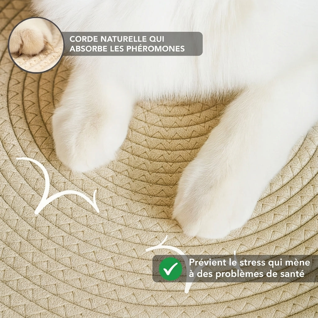 Panier pour chat