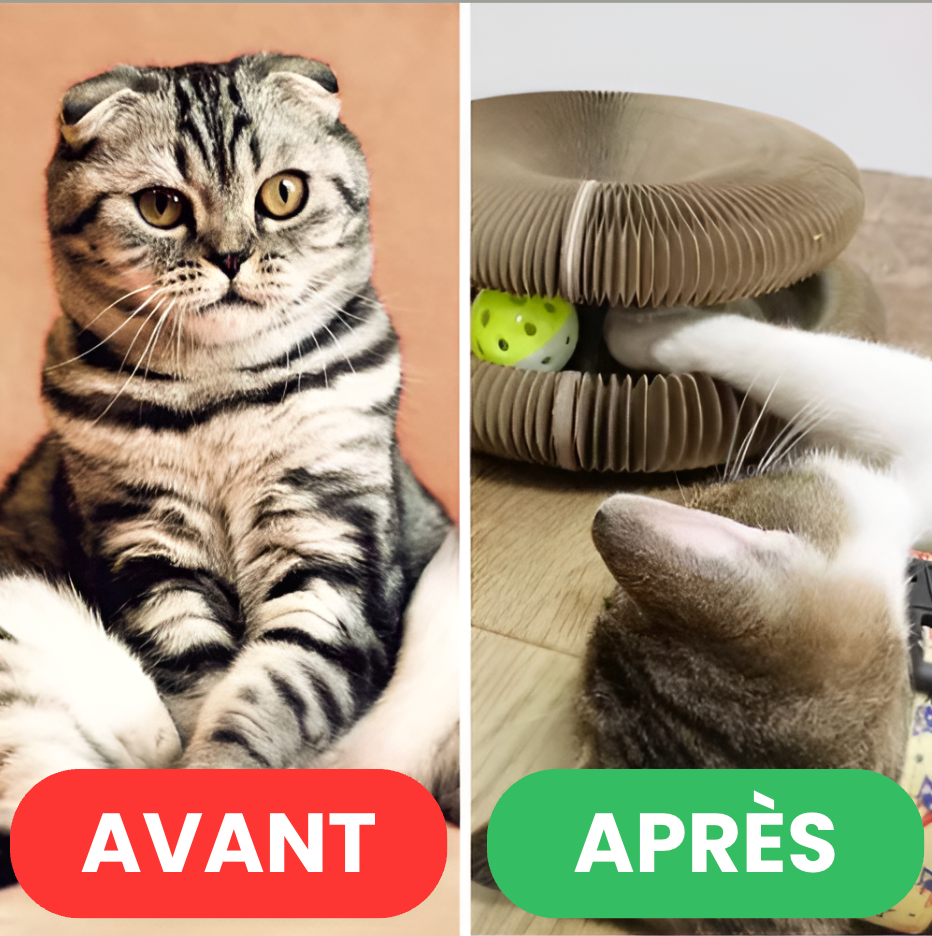FolieFéline - Jouet pour chat
