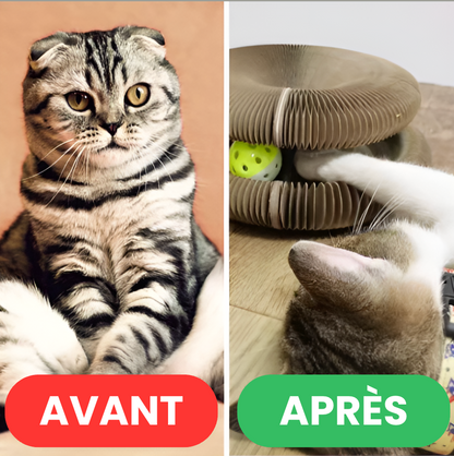 FolieFéline - Jouet pour chat