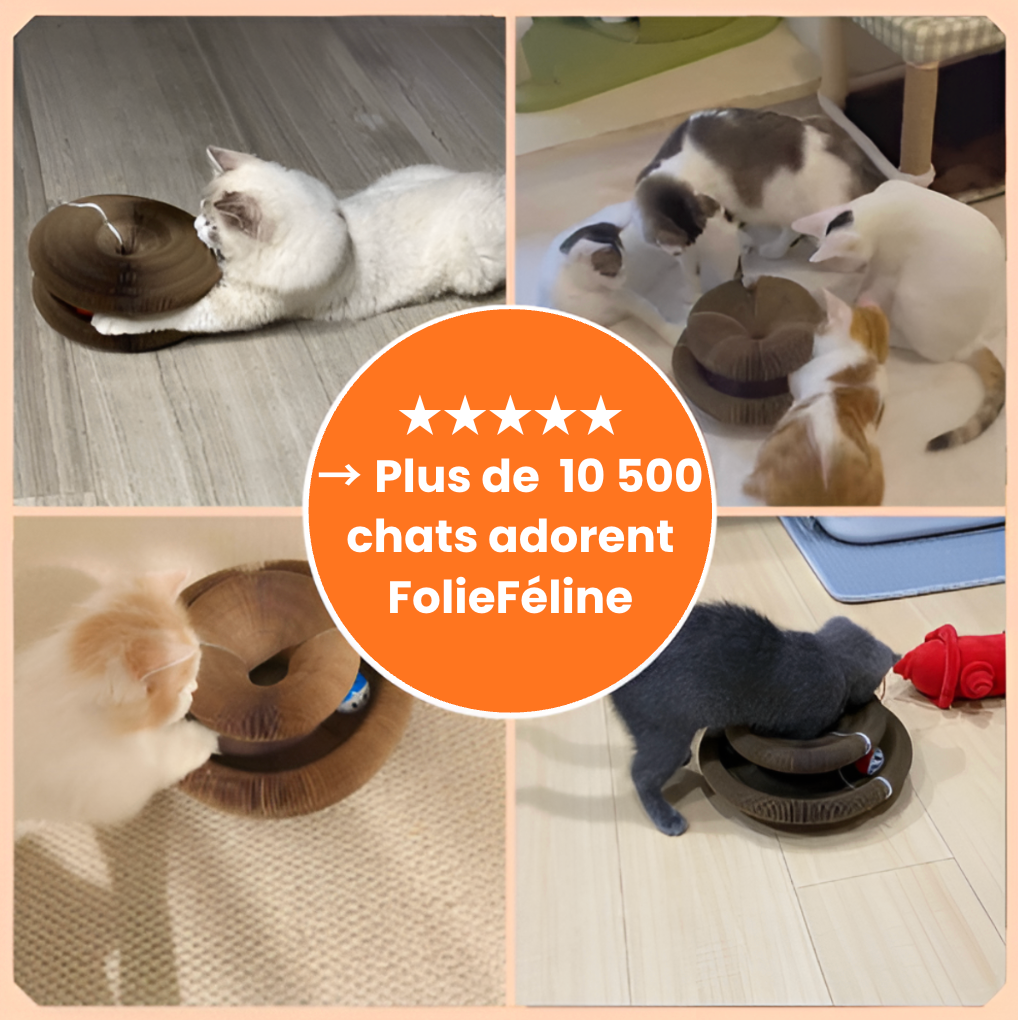 FolieFéline - Jouet pour chat
