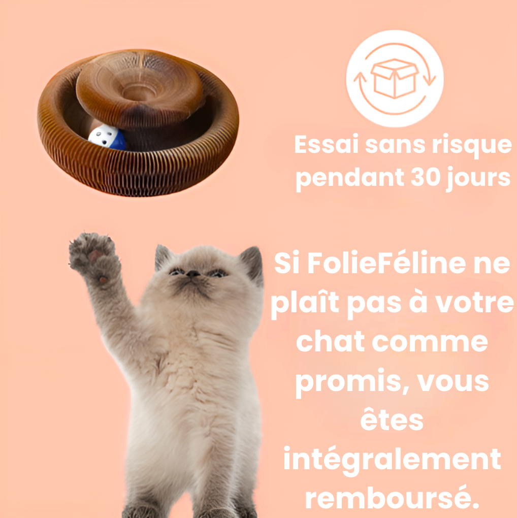 FolieFéline - Jouet pour chat