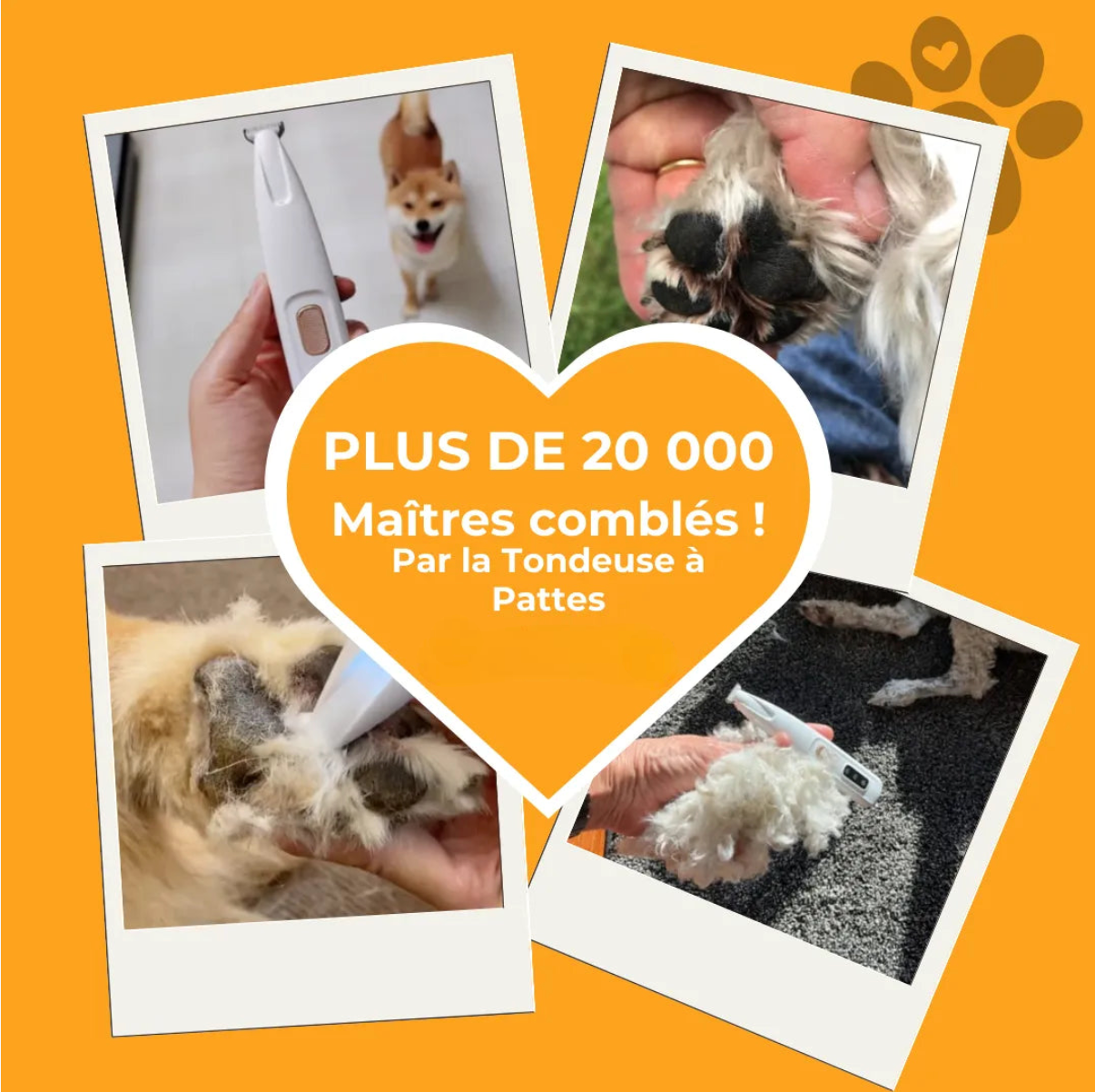 Tondeuse à pattes