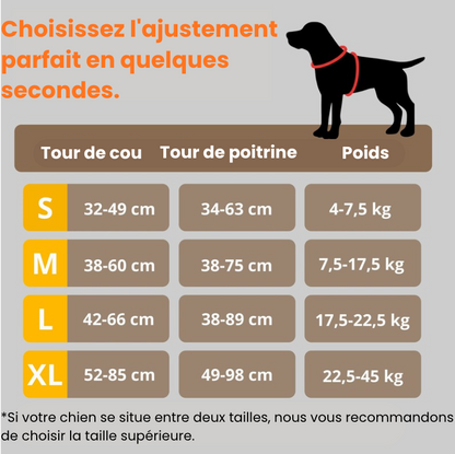 Harnais anti-traction