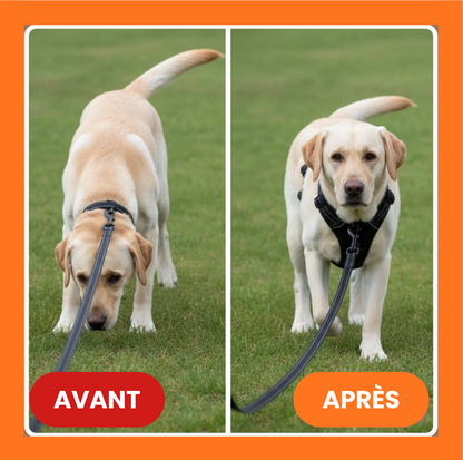 Harnais anti-traction