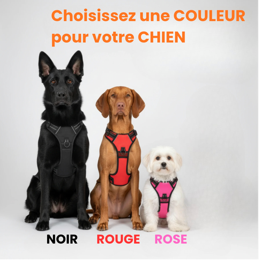 Harnais anti-traction