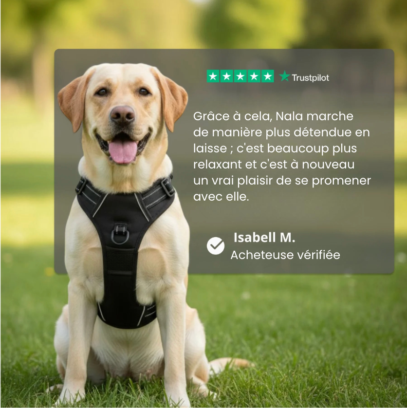 Harnais anti-traction