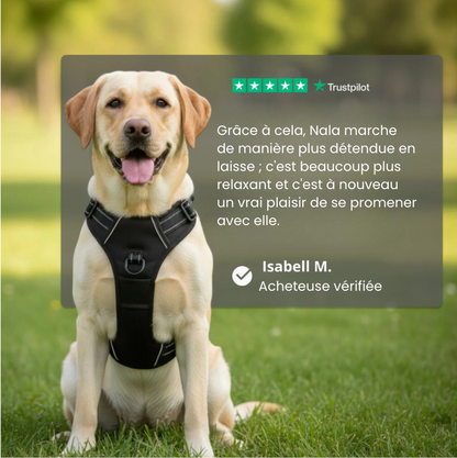 Harnais anti-traction