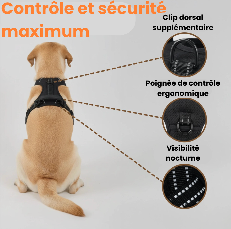 Harnais anti-traction