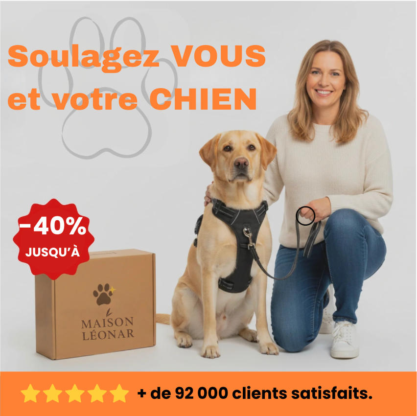 Harnais anti-traction