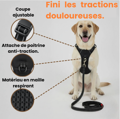 Harnais anti-traction