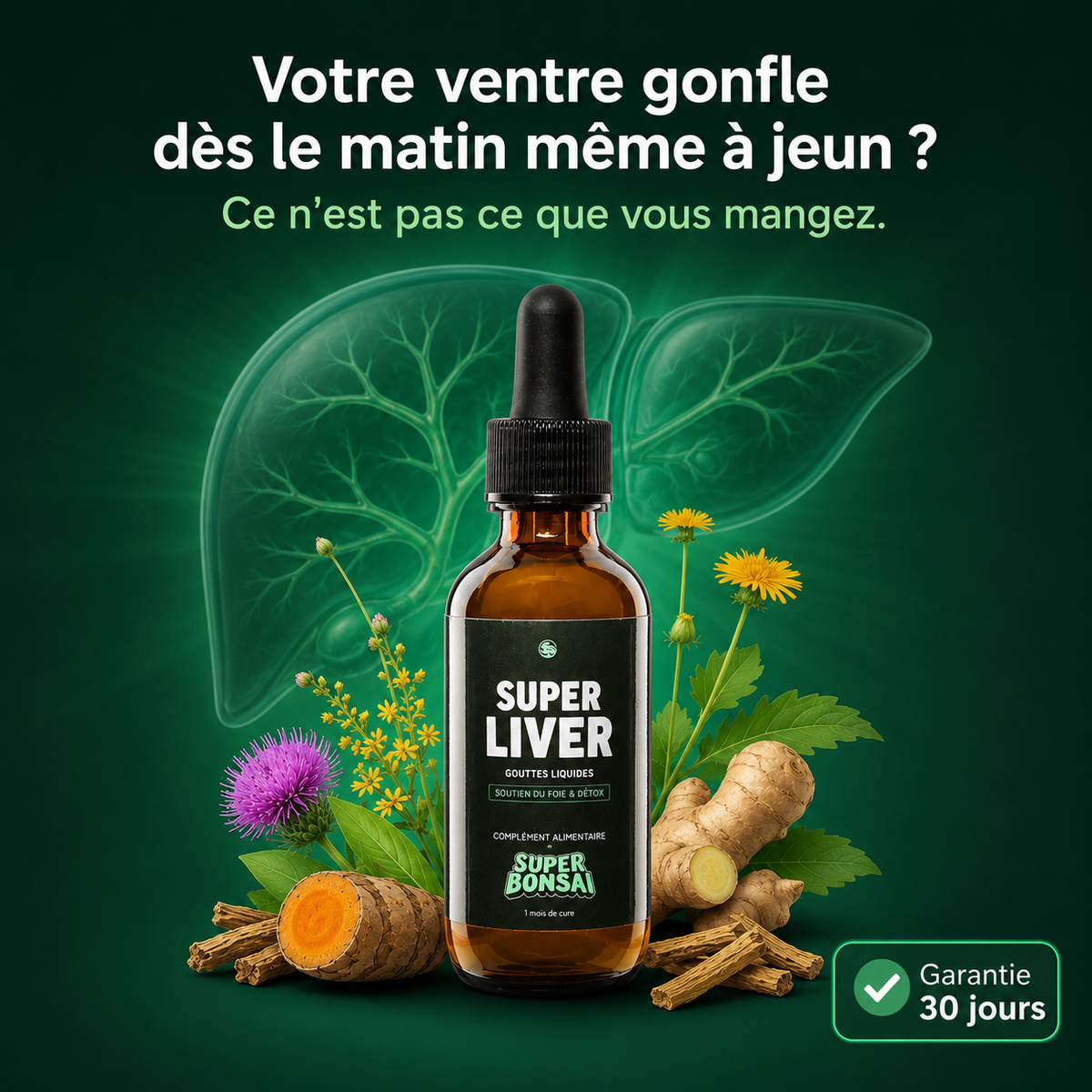 Super Liver — Ventre plat dès la semaine 2