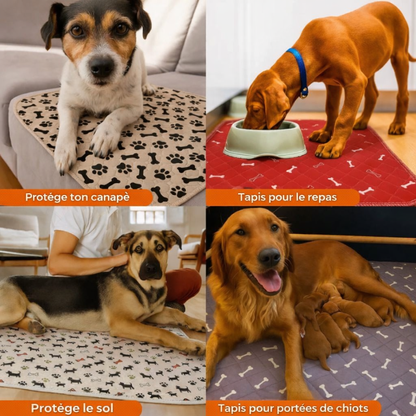 Tapis hygiénique, absorbant et lavable pour chiens et chiots